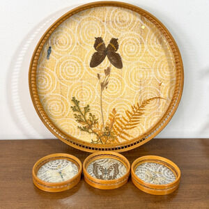 Vintage Bamboo Butterfly Serving Tray w/ 3 Matching Coasters Pressed Ferns Real